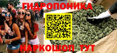 гашик Ставрополь